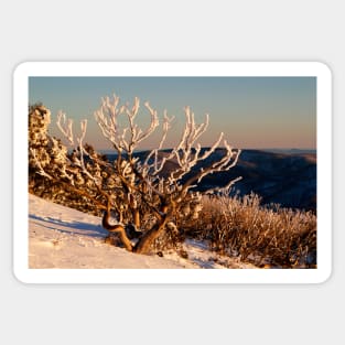 Sunset on the mountainside Sticker